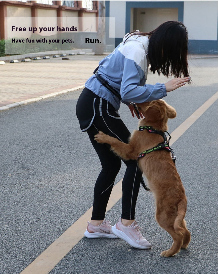 Hands-Free Leashes Pet Leashes Comfortable for Dog
