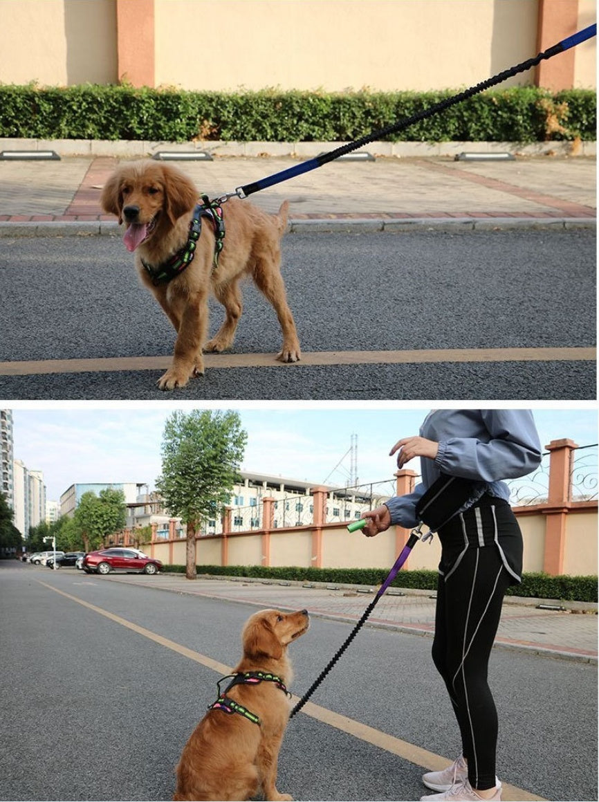 Hands-Free Leashes Pet Leashes Comfortable for Dog