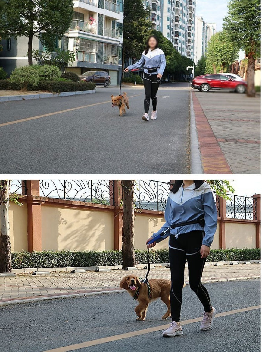 Hands-Free Leashes Pet Leashes Comfortable for Dog
