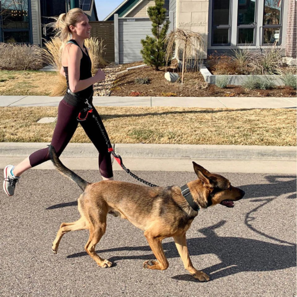 Hands-Free Leashes Pet Leashes Comfortable for Dog