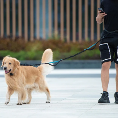 Hands-Free Leashes Pet Leashes Comfortable for Dog