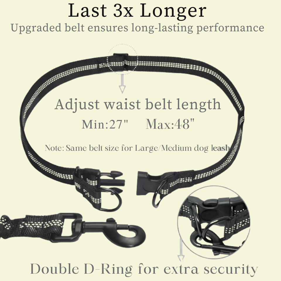 Hands-Free Leashes Pet Leashes Comfortable for Dog
