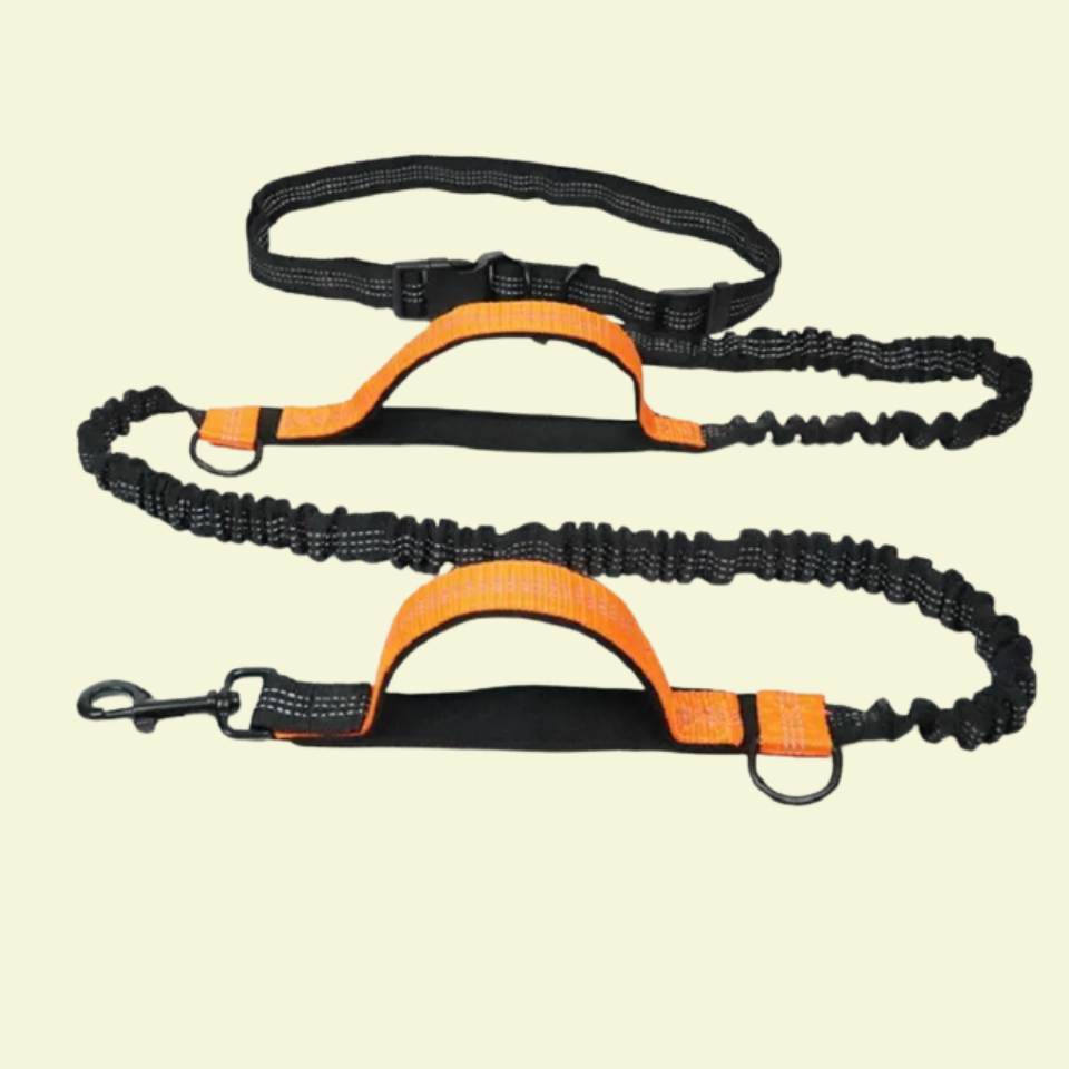 Hands-Free Leashes Pet Leashes Comfortable for Dog