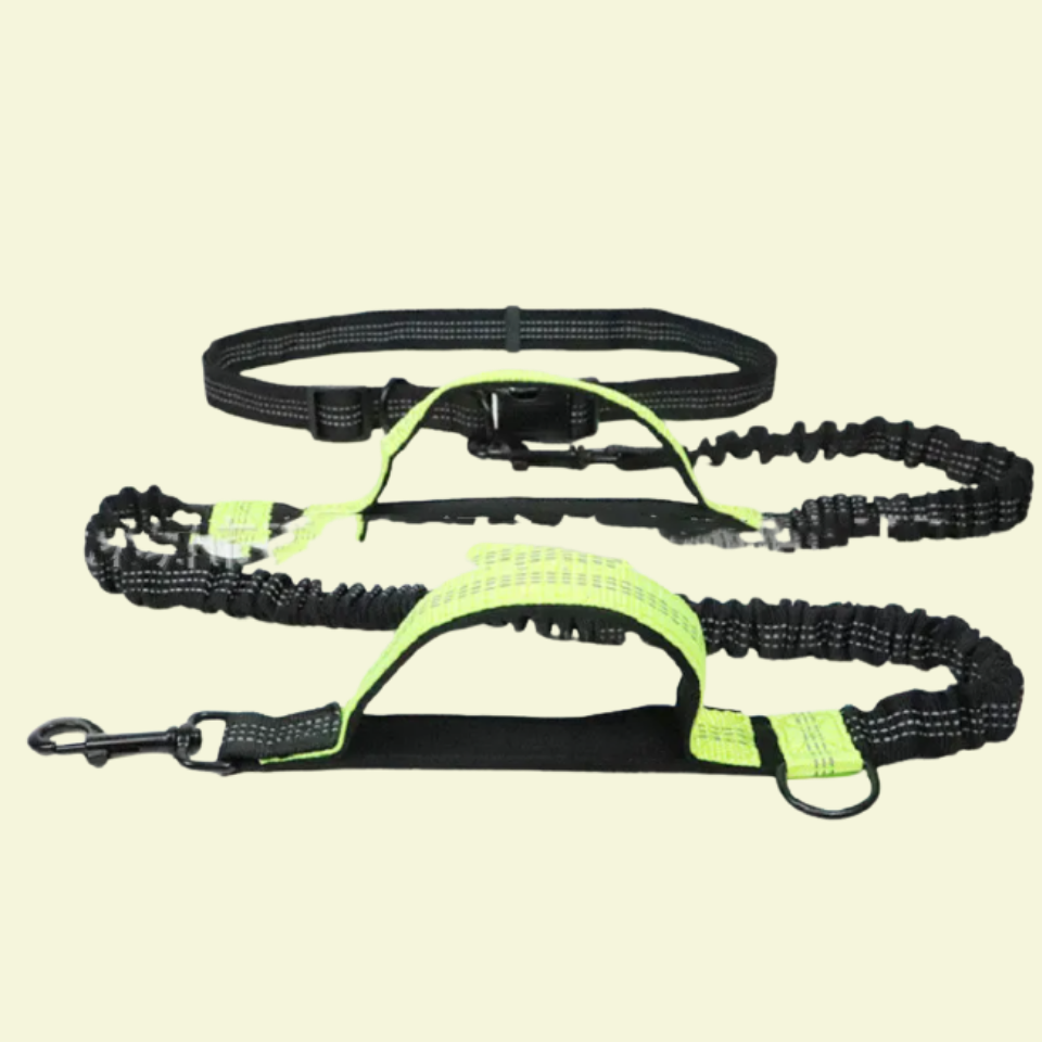 Hands-Free Leashes Pet Leashes Comfortable for Dog