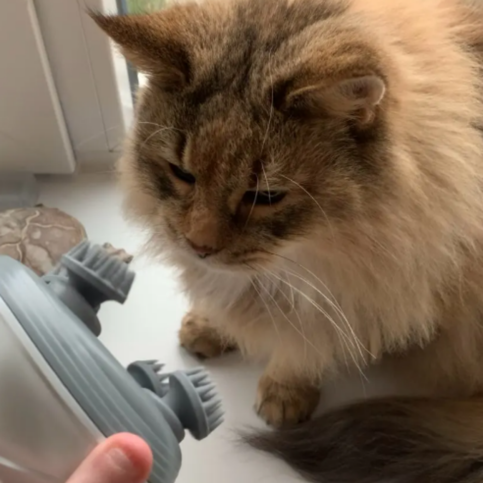 Electric Pet Massager for Dogs and Cats with 4 Massage Heads