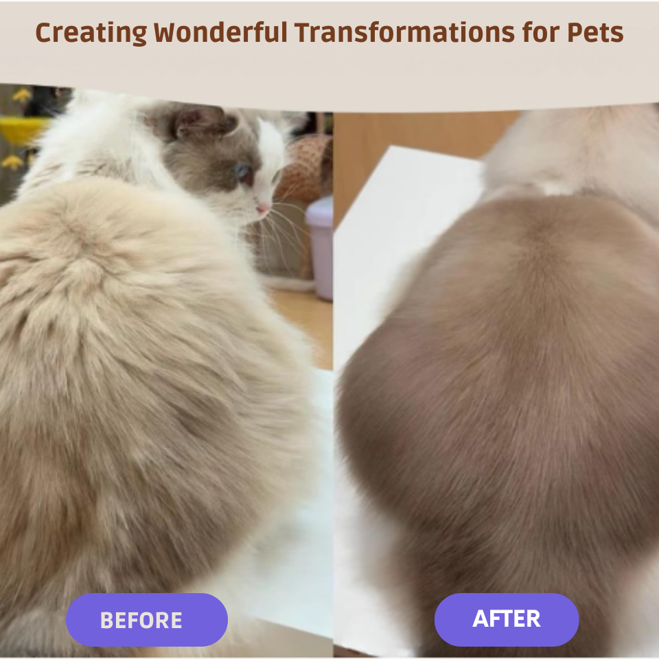 4 in 1 Cat Steam Brush for Shedding for Dog and Cat,