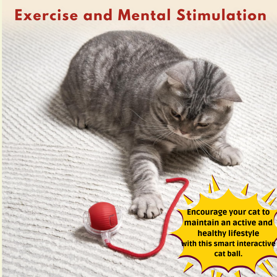 Interactive Ball for Dog & Cat Electric Active Toys