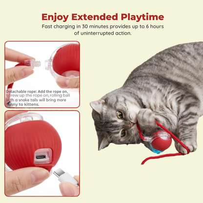 Interactive Ball for Dog & Cat Electric Active Toys
