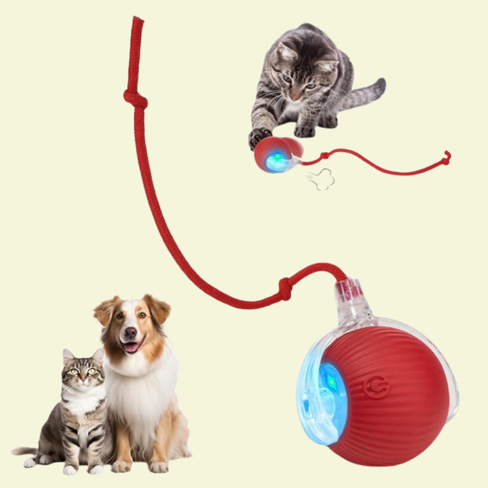Interactive Ball for Dog & Cat Electric Active Toys