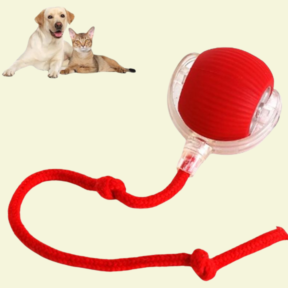 Interactive Ball for Dog & Cat Electric Active Toys
