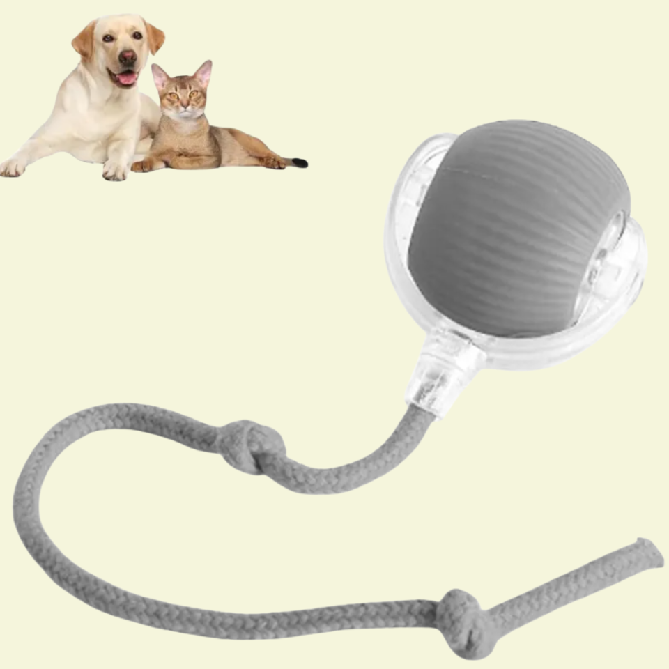 Interactive Ball for Dog & Cat Electric Active Toys