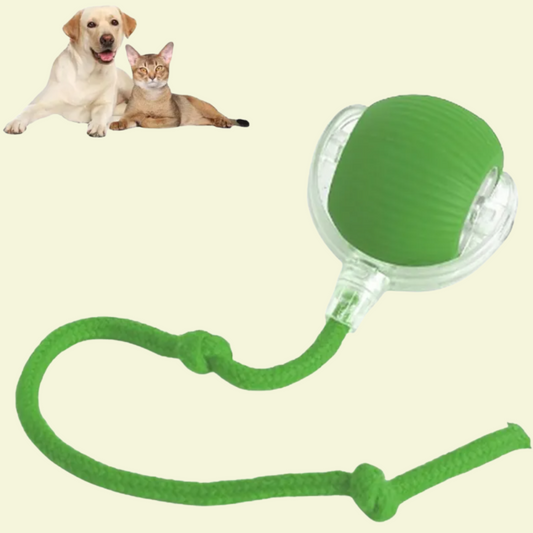Interactive Ball for Dog & Cat Electric Active Toys