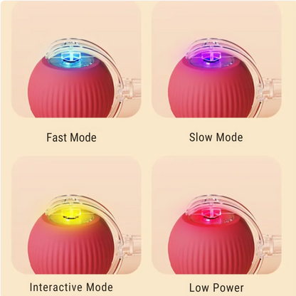 Interactive Ball for Dog & Cat Electric Active Toys