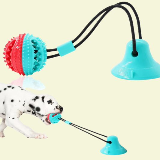 Interactive Dog Toys, Mentally Stimulating for Dogs and Cats