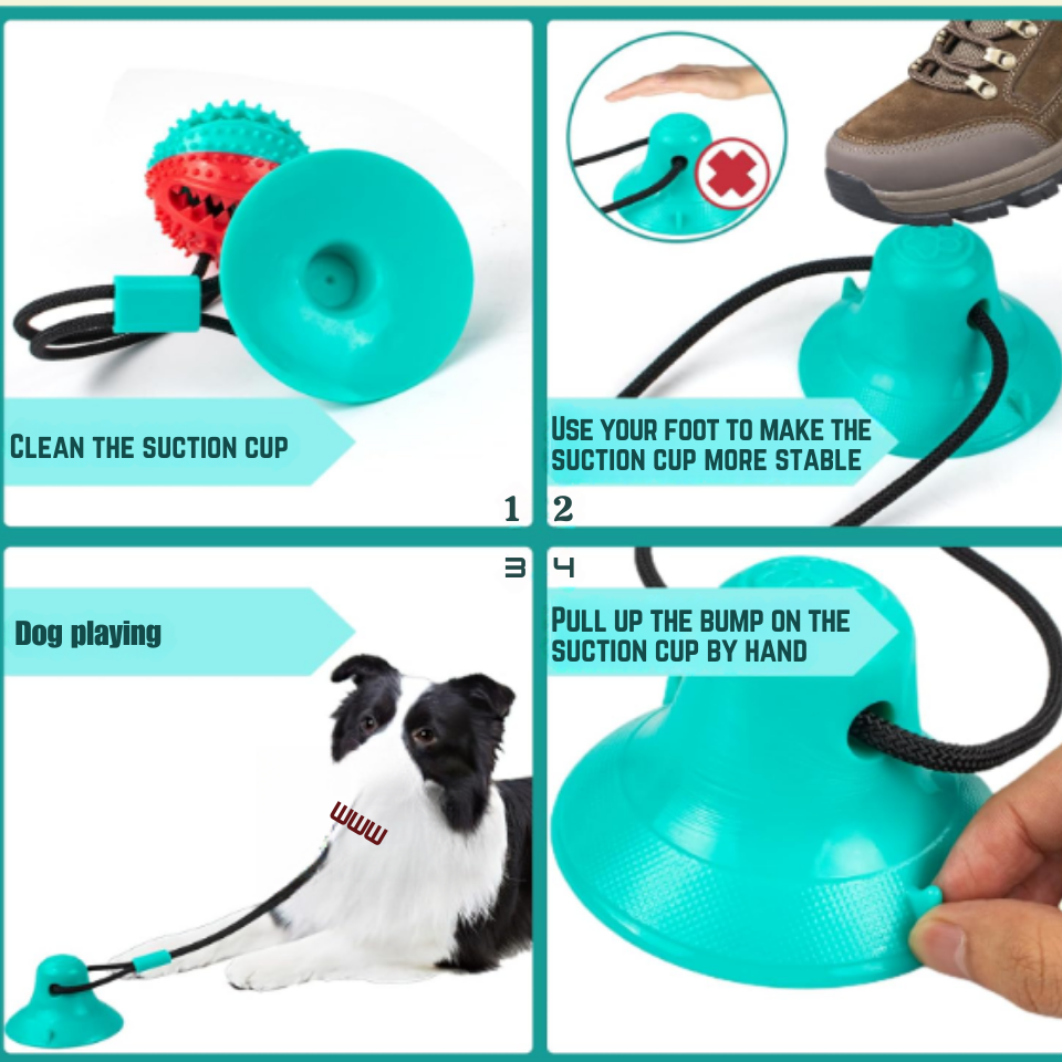 Interactive Dog Toys, Mentally Stimulating for Dogs and Cats