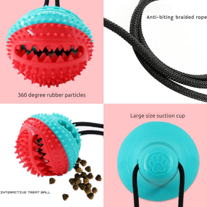 Interactive Dog Toys, Mentally Stimulating for Dogs and Cats