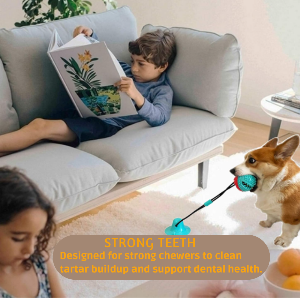 Interactive Dog Toys, Mentally Stimulating for Dogs and Cats
