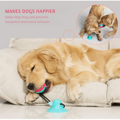Interactive Dog Toys, Mentally Stimulating for Dogs and Cats