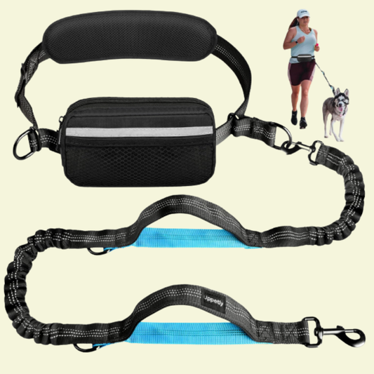 Hands-Free Leashes Pet Leashes Comfortable for Dog
